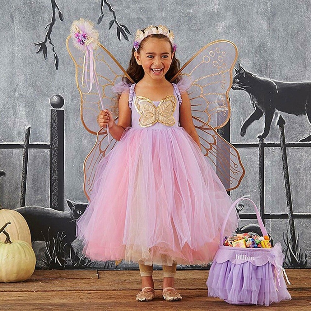 Pottery Barn fairy costume NWT 3t little girl pink purple Halloween birthday